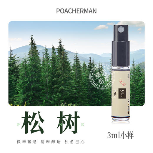 柏世曼松树香水 松木雪松木质调松香木香男士香水学生中性淡香氛 商品图3