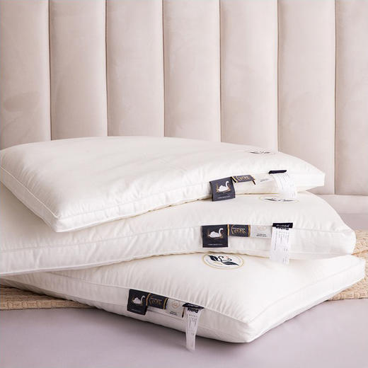 【多喜爱】枕芯--罗斯特轻音生态舒适枕（高/中/低） 商品图2