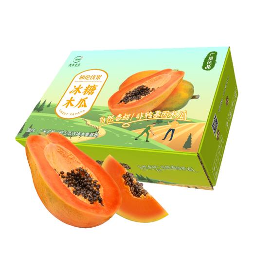 L仙伦优果非转基因木瓜5斤装4~6个果(三天内现采现发) 商品图0