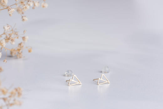 Austria earrings 14K金耳钉 商品图3