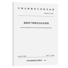 道路地下病害处治技术规程（T/CHCA 011—2024）