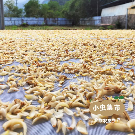 生态沙参玉竹汤包 180g/袋 | 合作农友生产，来自广东连南瑶族自治县，生产者：张运东 ＆【公平贸易农人定价】 商品图5