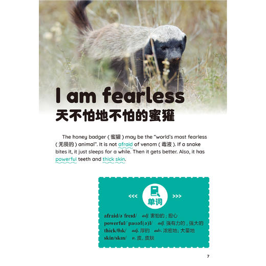 《跟21世纪英文报读时文学单词》（全6册） 商品图10