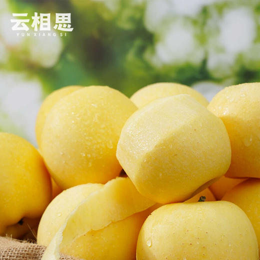 云相思新疆黄金维纳斯苹果 新疆阿克苏时令水果 商品图0
