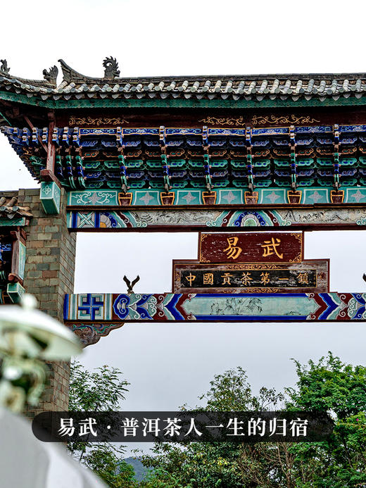 【古寨秘境七星级】2023年单株级别用料 斗茶级别的产品！古寨春店铺标杆巨作 易武茶区普洱茶生茶357克/饼 拍5发6拍20发25 商品图2