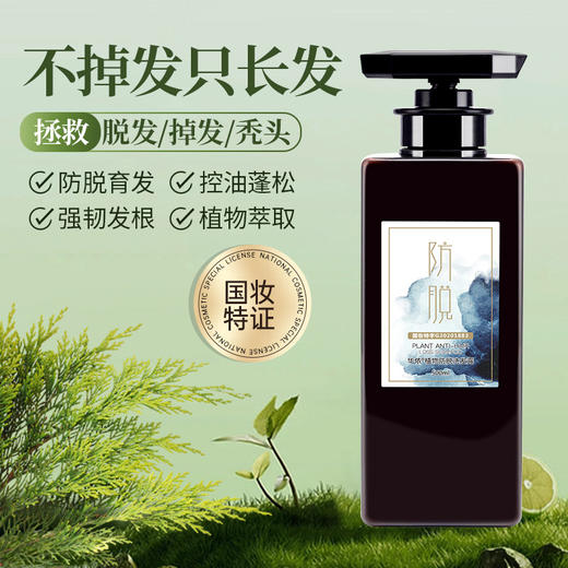 【熬夜党救星，国妆特字防脱洗发露】 正品侧柏叶何首乌当归草本育发防脱洗发水，植物熬制深度滋养稳固发根，止痒控油蓬松洗头水 商品图0