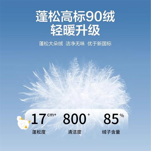 迪士尼女童冬季羽绒外套234DS1209 商品图8