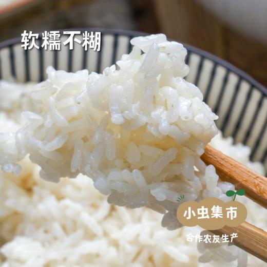 【2025年秋收新粮】有机丝苗米 10斤 | 合作农友生产，产自湖北黄冈，生产者是：李明攀 *【公平贸易农人定价】 商品图2
