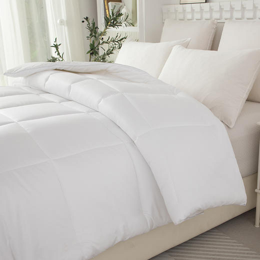 芳恩 星级鹅丝绒被 商品图4