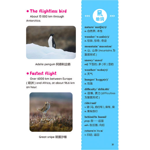 《跟21世纪英文报读时文学单词》（全6册） 商品图14
