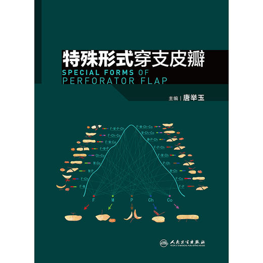 特殊形式穿支皮瓣 2024年10月参考书 商品图1