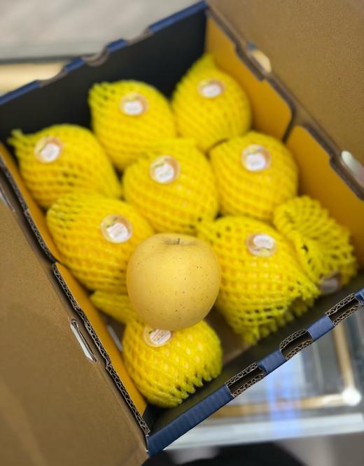 果仙人黄金维纳斯（9个装） 商品图0