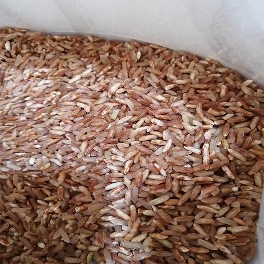 云南梯田红米 礼盒装/牛皮纸袋装 商品图1