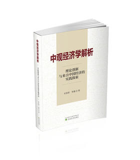 中观经济学解析：理论创新与来自中国经济的实践探索