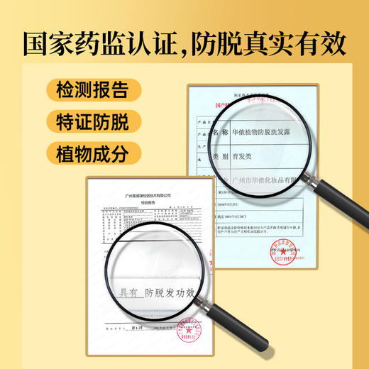 【熬夜党救星，国妆特字防脱洗发露】 正品侧柏叶何首乌当归草本育发防脱洗发水，植物熬制深度滋养稳固发根，止痒控油蓬松洗头水 商品图1