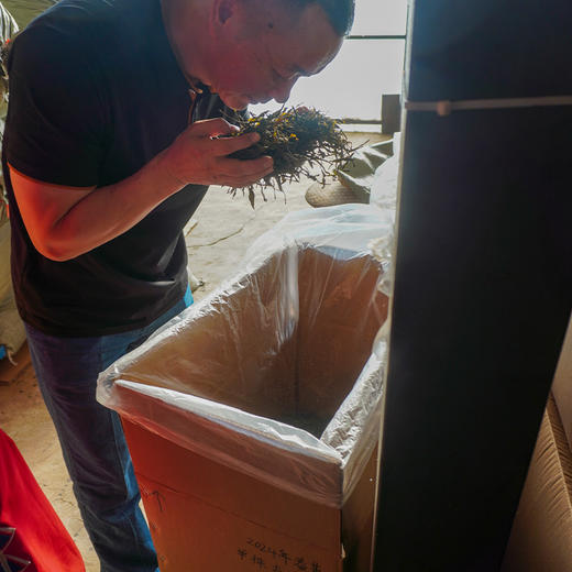 【南本老寨单株】大茶园最靠近茶王树的6棵大单株古树 2024年春茶云南勐宋普洱生茶纯料散茶木箱装500g 商品图13