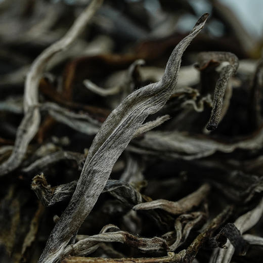 润品昌【白茶园】2021头春散茶易武普洱茶生茶150g罐装散茶 商品图1