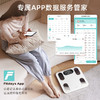 沃莱ICOMON | 智能体脂秤FG2313WB白色 商品缩略图5