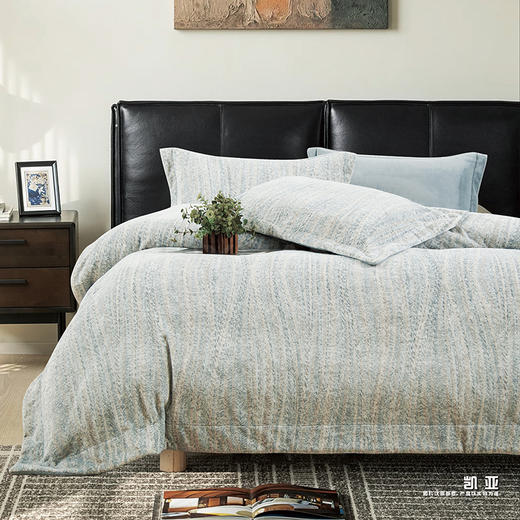 鑫缘 艾能暖绒印花四件套 DXC9418 -DXC9420 商品图3