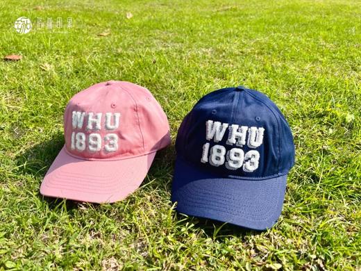 1893棒球帽 商品图5