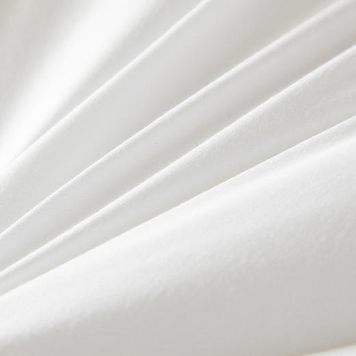 芳恩 星级鹅丝绒被 商品图1