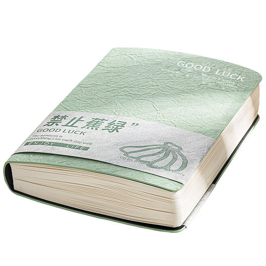 「加厚款！颜值派」四季年华A5笔记本加厚记事本软皮横线本学生通用记录本日记本文具 商品图4