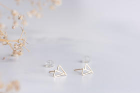 Austria earrings 14K金耳钉