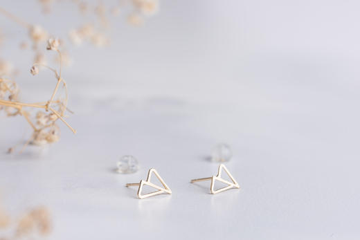 Austria earrings 14K金耳钉 商品图0