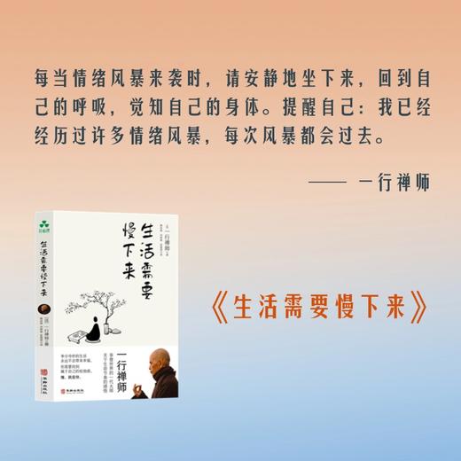 生活需要慢下来 | 一行禅师著 缓解焦虑与内耗 找到松弛感 心理书籍【官方正版】华龄出版社 商品图4