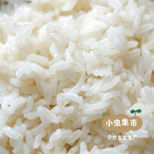 【2025年秋收新粮】有机丝苗米 10斤 | 合作农友生产，产自湖北黄冈，生产者是：李明攀 *【公平贸易农人定价】 商品图4