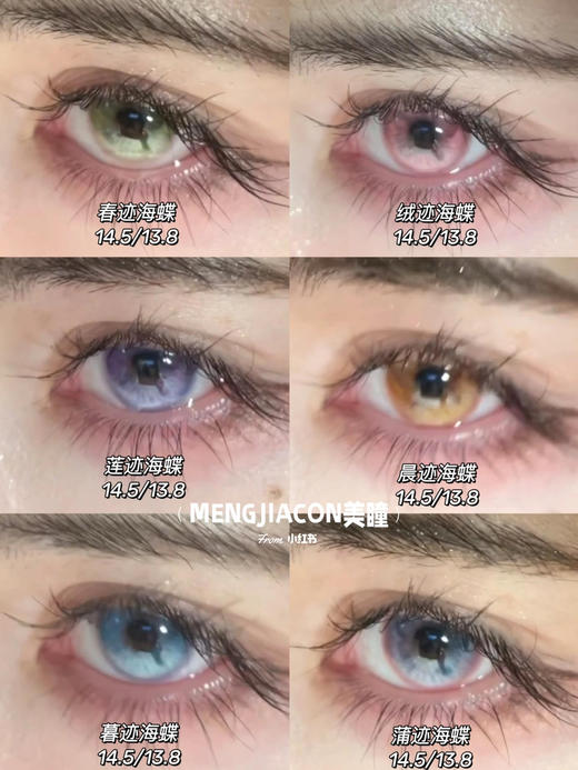 illusionDuck 半年抛春迹海蝶/绒迹海蝶/莲迹海蝶/晨迹海蝶/暮迹海蝶/蒲迹海蝶 14.5mm 商品图0