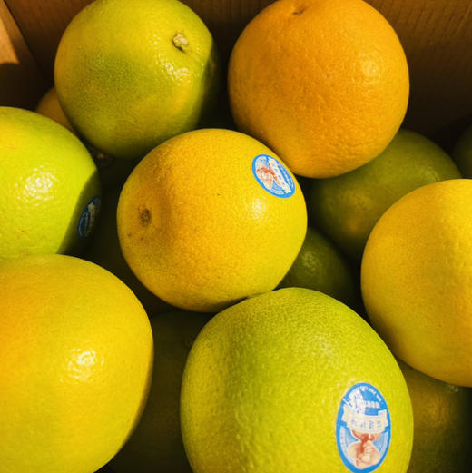 【优级实建褚橙甜橙】清甜口感，尝鲜季！精神传承，匠心巨制，回归甜蜜时代，传承褚老精神，有机种植，好吃你懂的 商品图2