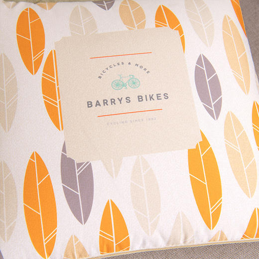 芳恩 炫彩数码印花抱枕被 商品图6