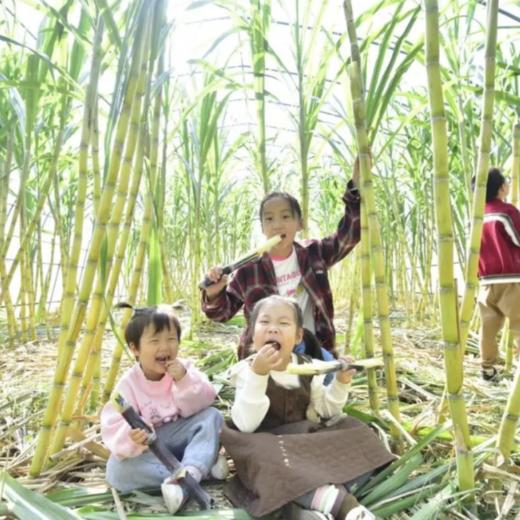 【冬季】【亲子】【3岁+】周日/下周六｜大地冬藏节；暖冬寻找季节之味。 商品图1