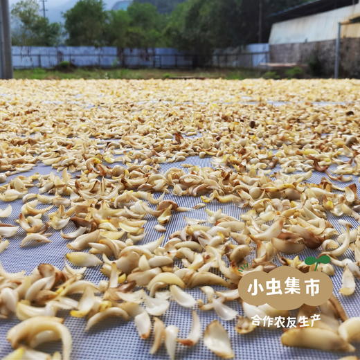 瑶山野生百合干 250g/袋| 合作农友生产，来自广东连南瑶族自治县，生产者：张运东 ＆【公平贸易农人定价】 商品图10
