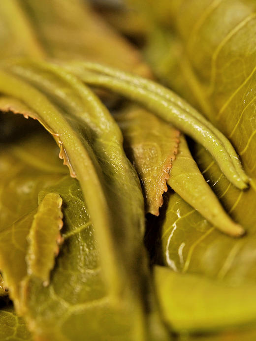 【古寨秘境七星级】2023年单株级别用料 斗茶级别的产品！古寨春店铺标杆巨作 易武茶区普洱茶生茶357克/饼 拍5发6拍20发25 商品图9