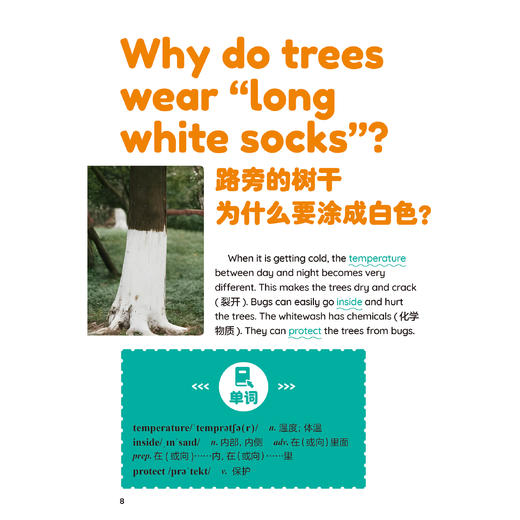 《跟21世纪英文报读时文学单词》（全6册） 商品图4
