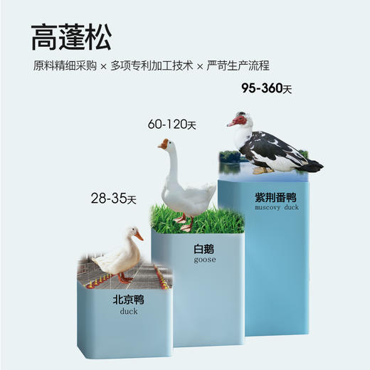 西川羽绒空调被（番鸭绒70绒） 商品图3