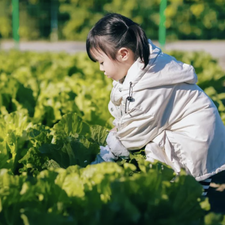 【冬季】【亲子】【3岁+】周六/下周日｜大地冬藏节；暖冬寻找季节之味。