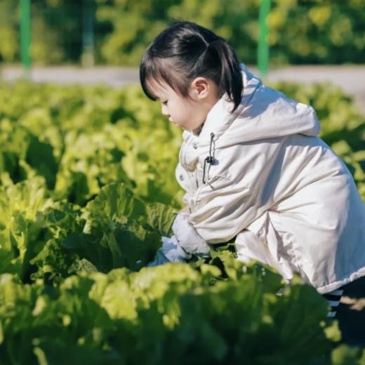 【冬季】【亲子】【3岁+】周日/下周六｜大地冬藏节；暖冬寻找季节之味。 商品图0