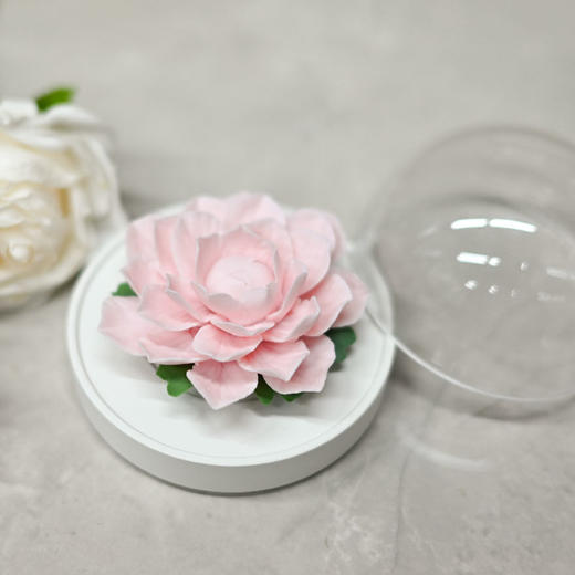 羽诗制造出品 秘境寻芳鲍海斌书灯非遗手捏陶瓷花礼盒套装 商品图3