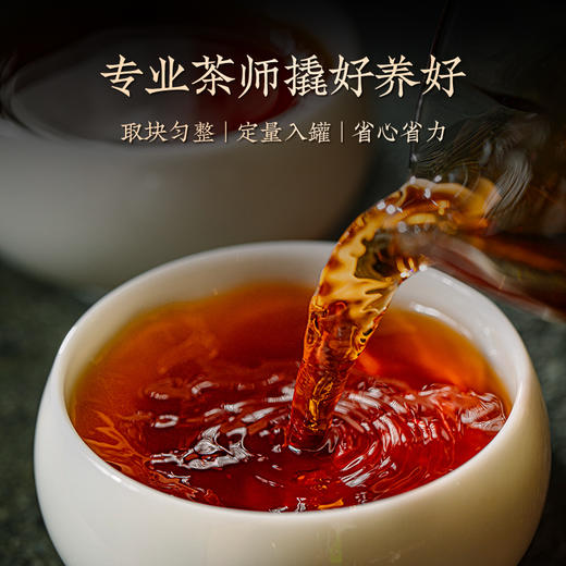 澜沧古茶2024年1966（凤亦凰）名山古树普洱熟茶鉴赏装75g（5g*15罐） 商品图4