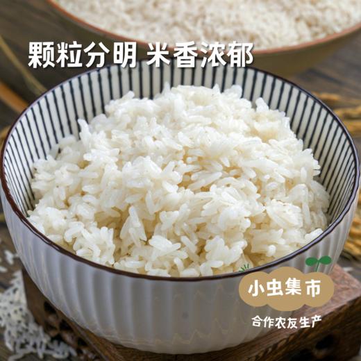 【2025年秋收新粮】有机丝苗米 10斤 | 合作农友生产，产自湖北黄冈，生产者是：李明攀 *【公平贸易农人定价】 商品图1