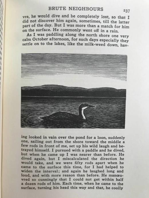 梭罗《瓦尔登湖》 托马斯·纳森木版画插图 豪华皮装32开 商品图13