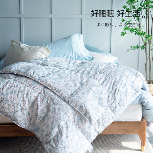 西川羽绒空调被（番鸭绒70绒） 商品图1