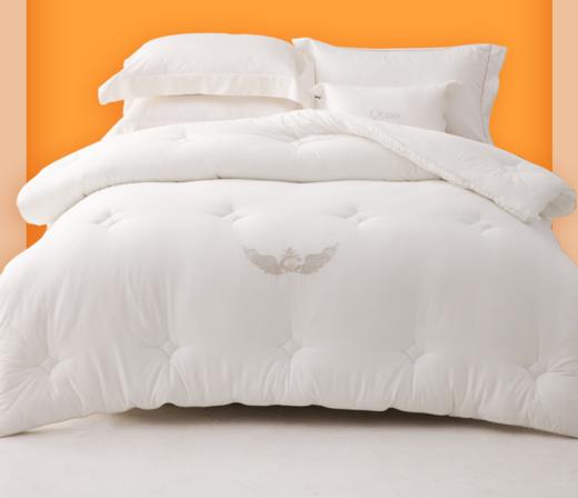 多喜爱《卡焰速暖科技冬被》 商品图0