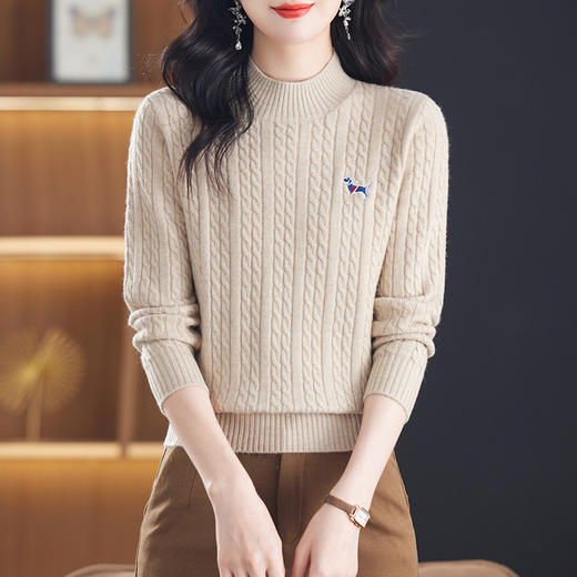 CC-101-81133短款女士毛衣新款2024秋冬厚款刺绣半高领宽松遮肚上衣内搭打底衫 商品图3