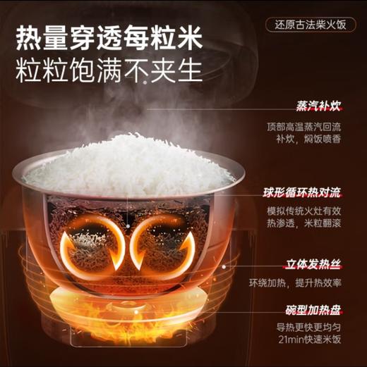 摩飞电器（Morphyrichards）多功能电饭锅电饭煲 家用2-3人小型3L双胆煮饭煲汤锅智能和面机面包机MR8500雅典白 商品图7