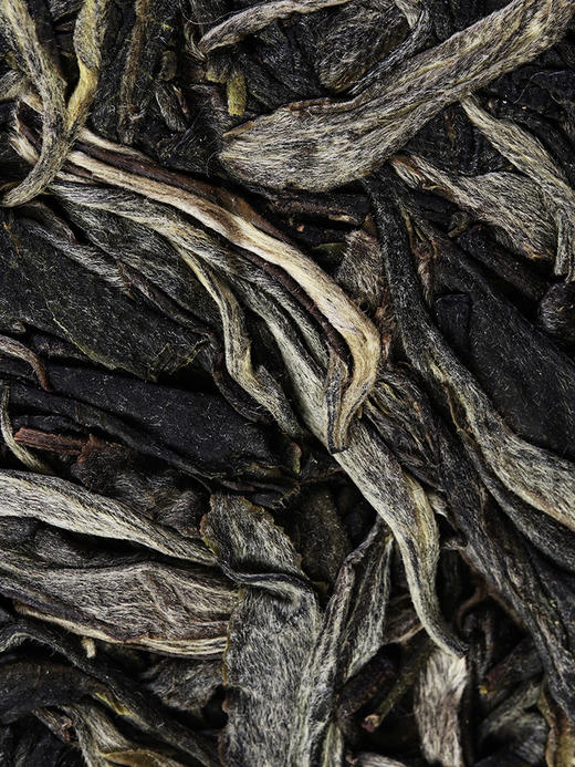 【古寨秘境七星级】2023年单株级别用料 斗茶级别的产品！古寨春店铺标杆巨作 易武茶区普洱茶生茶357克/饼 拍5发6拍20发25 商品图3