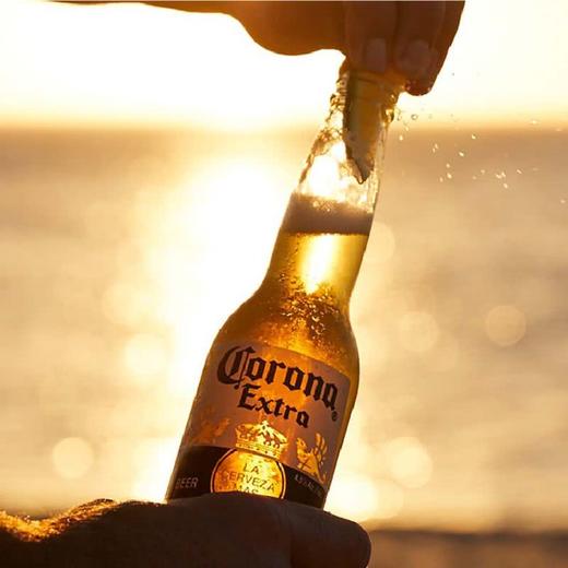 MM 山姆 科罗娜 特级啤酒 207ml*24 商品图3